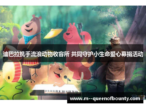 迪巴拉携手流浪动物收容所 共同守护小生命爱心募捐活动